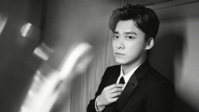 หลี่อี้เฟิง ประวัติ