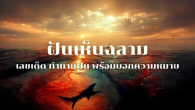 ฝันเห็นฉลาม