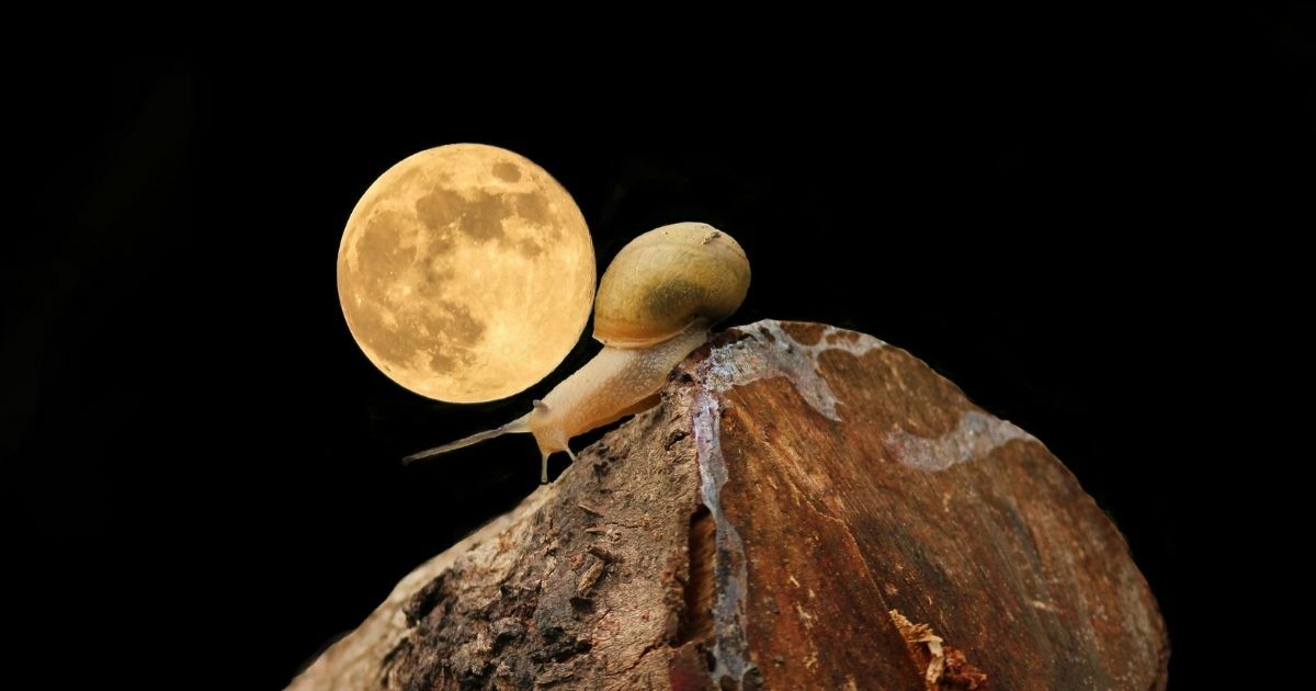 เลขเด็ดวันไหว้พระจันทร์ 2565