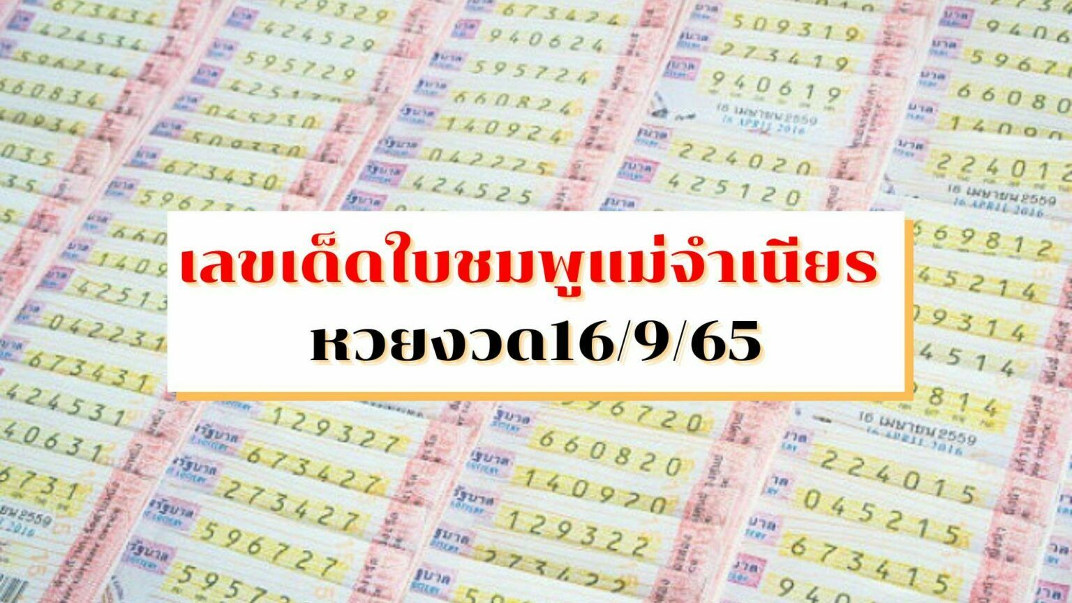 เลขเด็ดใบชมพูแม่จำเนียร-หวยงวด16965