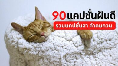 แคปชั่นฝันดี