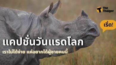 แคปชั่นวันแรดโลก