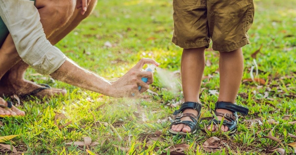 โรคที่มากับฝน