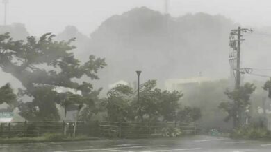 ไต้ฝุ่นนันมาดล