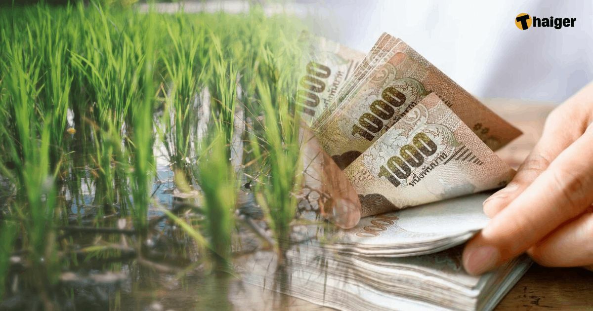 เช็กเงื่อนไข เงินช่วยเหลือเกษตรกรปี 65 66 เยียวยาน้ำท่วมไร่ละ 10,000 บาท