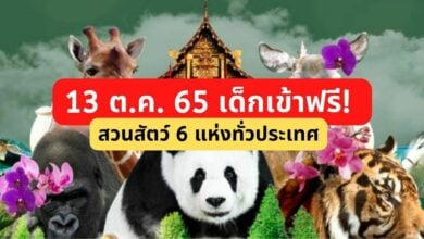13 ต.ค. 65 เด็กเข้าฟรี ที่สวนสัตว์ 6 แห่งทั่วประเทศ