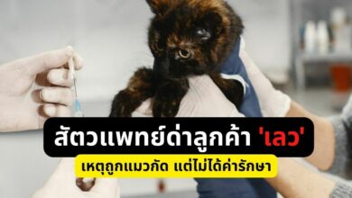 สัตวแพทย์ด่าลูกค้า เลว