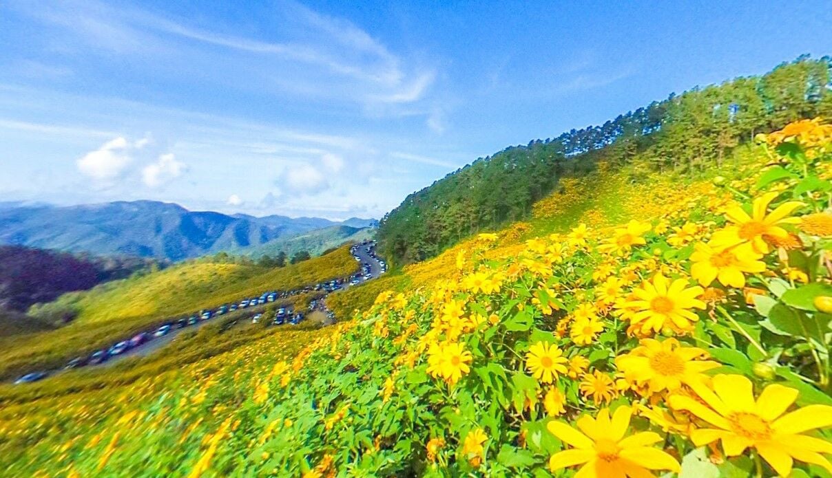 Doi mae u-kho เที่ยวแม่ฮ่องสอน เทศกาลดอกบัวตอง 2565 เดินทางยังไง