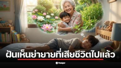 ฝันเห็นย่ายายที่เสียชีวิตไปแล้ว ทำนายว่าชีวิตการงานจะราบรื่น