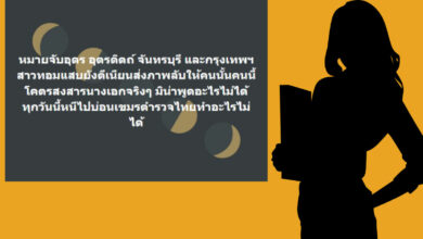 ทนาย สาวหล่อ นางเอกดัง