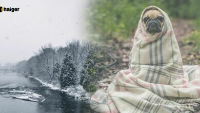 กรมอุตุฯ แจ้งเตือน &#039;ไทยเข้าหน้าหนาว&#039; ปลายตุลาคม 2565