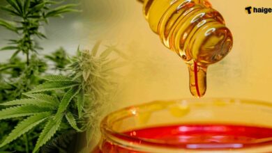 กัญชาดองน้ำผึ้ง ประโยชน์