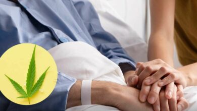 กัญชาทางการแพทย์