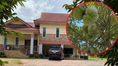 ขายบ้านพร้อมสวนทุเรียน