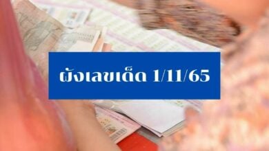 ผังเลขเด็ด 1 11 65