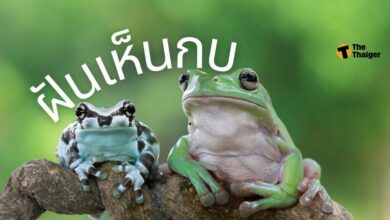 ฝันห็นกบ