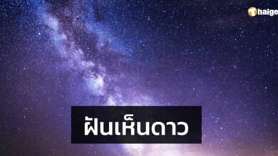 ฝันเห็นดาว 2565 ทำนายฝัน