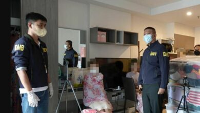 เพชร ฮารุ ลัทธิประหลาด