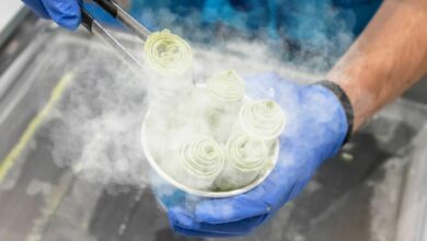 วิธีกินไอศกรีมไนโตรเจนเหลว