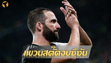 อิกวาอิน แขวนสตั๊ด