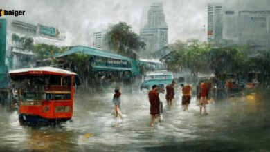 เช็กระดับน้ำแม่น้ำเจ้าพระยากรุงเทพ 10 ตุลาคม 2565 เฝ้าระวังน้ำท่วม