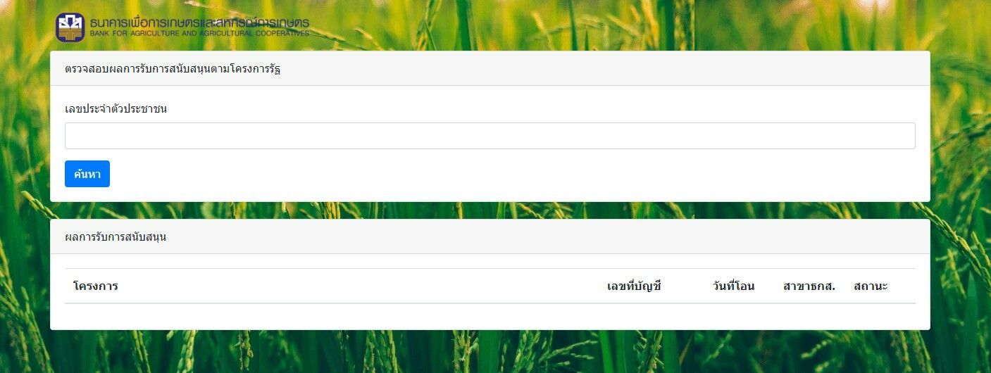เช็กสิทธิ์ขึ้นทะเบียน ประกันรายได้ข้าวนาปี 2565 2022
