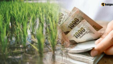 เช็กเงื่อนไข เงินช่วยเหลือเกษตรกรปี 65 66 เยียวยาน้ำท่วมไร่ละ 10000 บาท