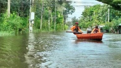 เยียวยาน้ำท่วม