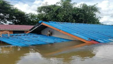 โครงการ ช่วยเหลือผู้ประสบภัยน้ำท่วม 2565