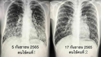 ค้างคาว