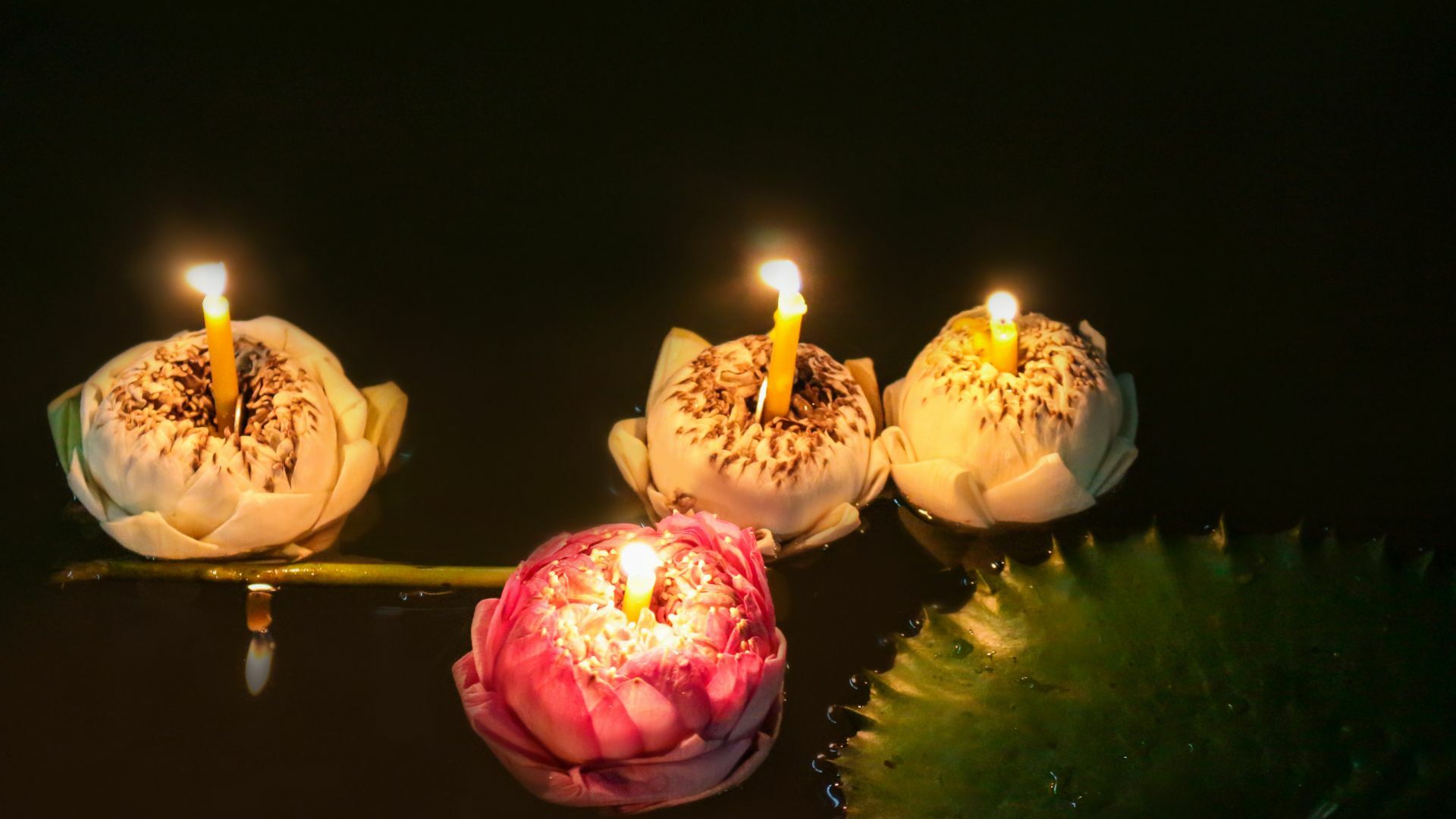 แบบกระทง