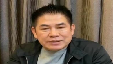 ทุนจีนสีเทา