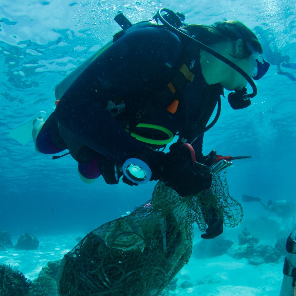 ประวัติ ทราย สก็อต