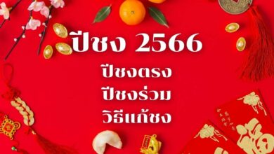 ปีชง 2566