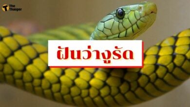 ฝันว่างูรัด