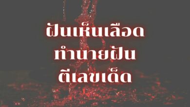ฝันเห็นเลือด