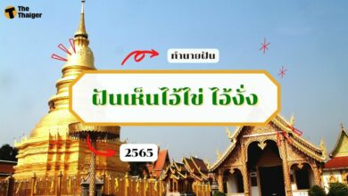 ฝันเห็นไอ้ไข่
