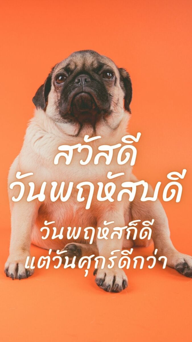 สวัสดีวันพฤหัสบดี 2565