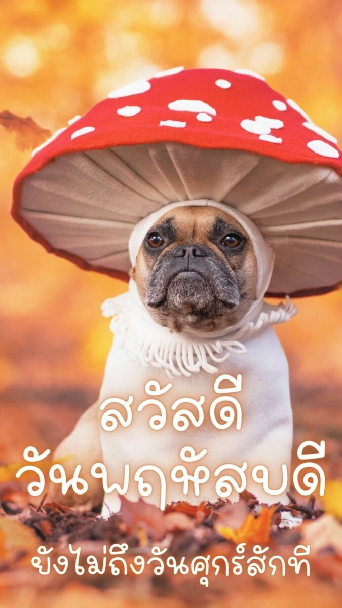 สวัสดีวันพฤหัสบดี 2565