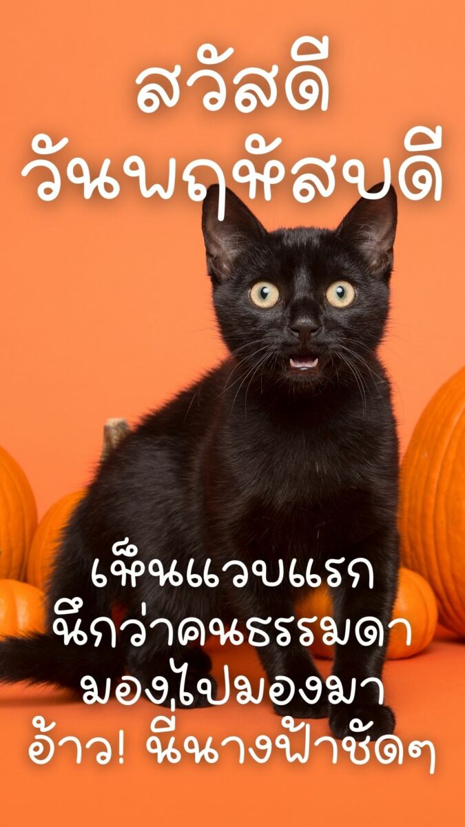 สวัสดีวันพฤหัสบดี 2565