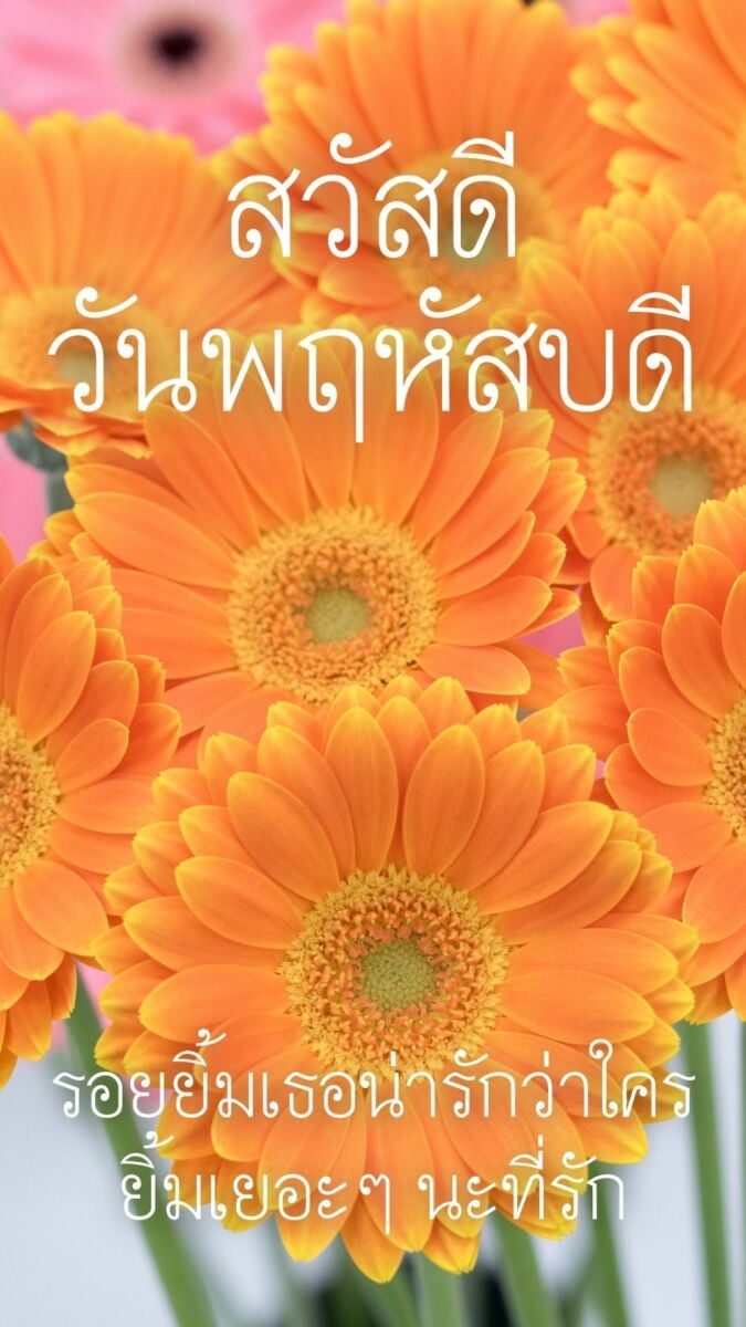 สวัสดีวันพฤหัสบดี 2565