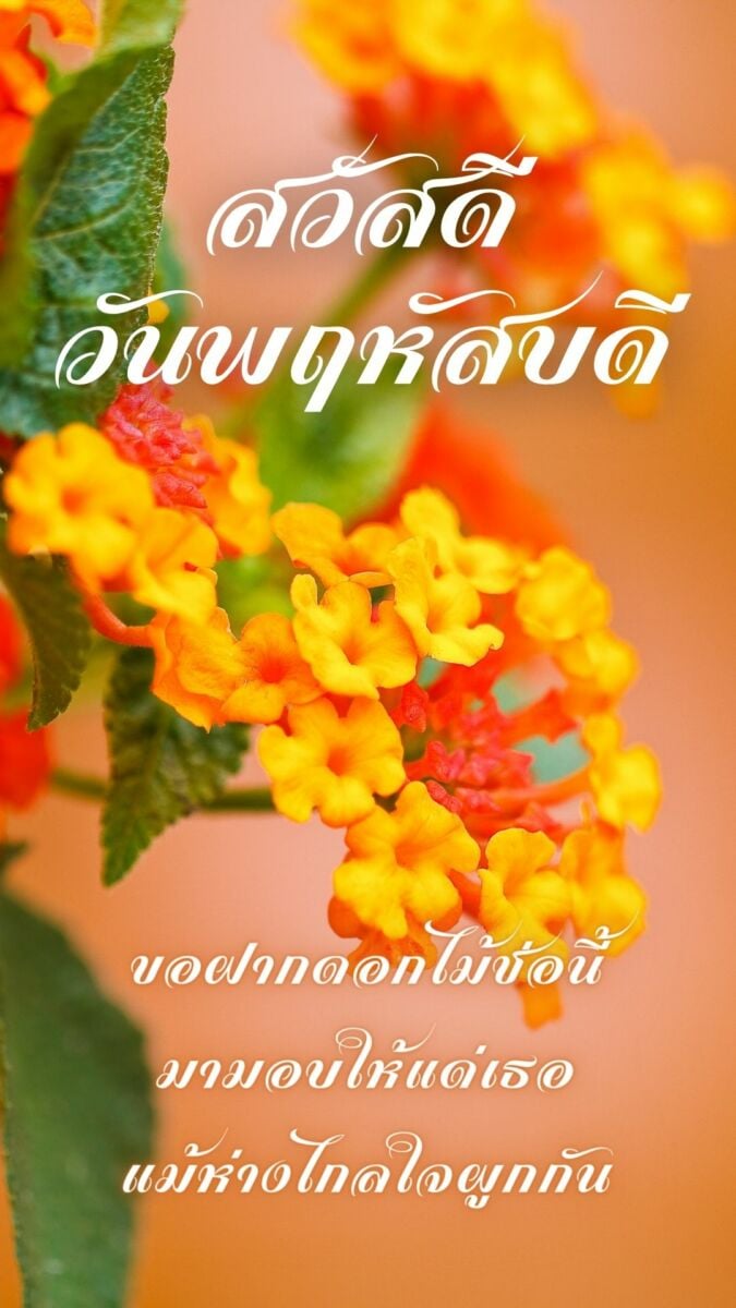 สวัสดีวันพฤหัสบดี 2565