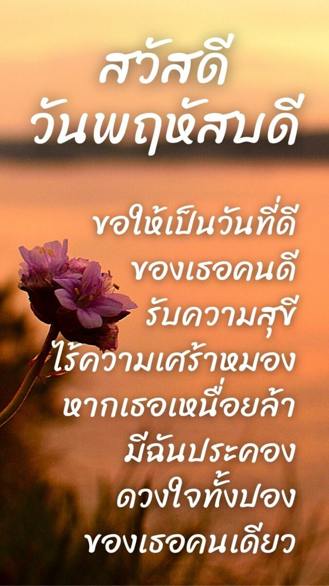 ภาพสวัสดีวันพฤหัสบดี ดอกไม้