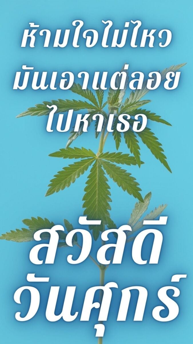 สวัสดีวันศุกร์สดใส น่ารัก