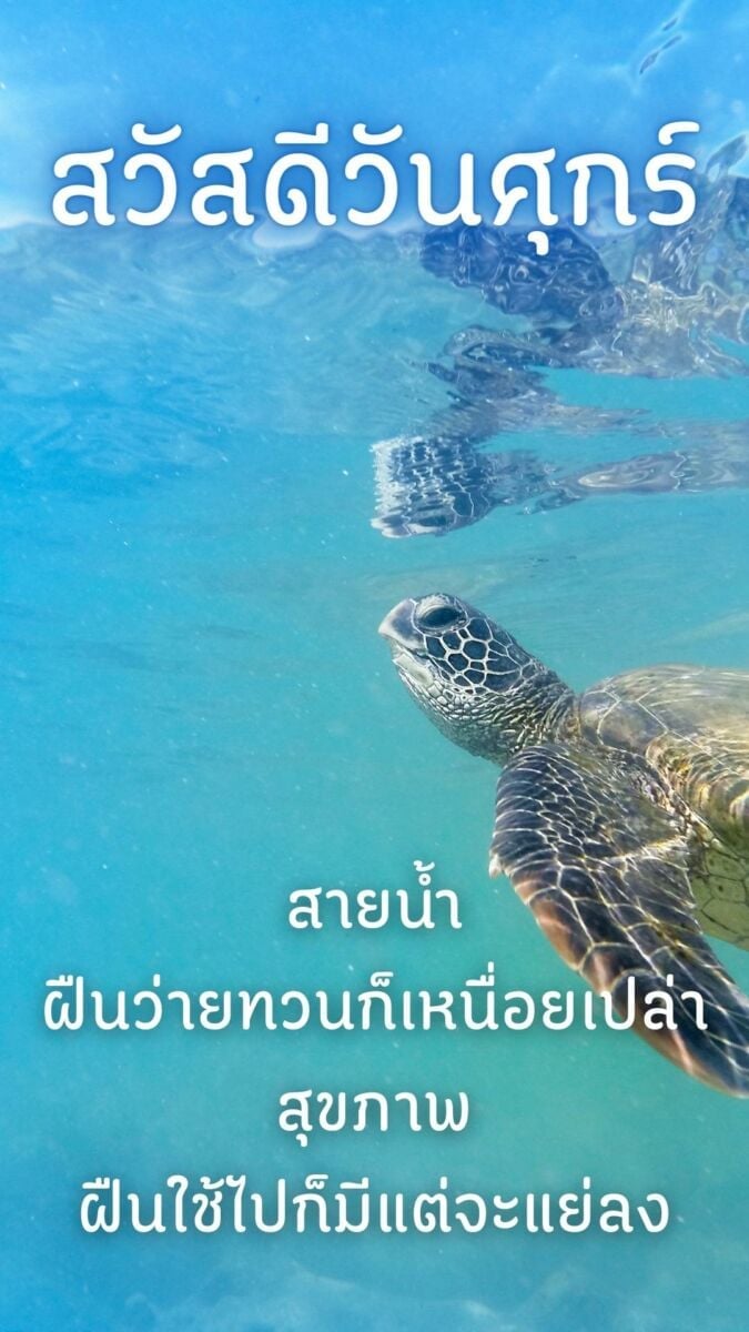 สวัสดีวันศุกร์ ขอให้สุขภาพแข็งแรง