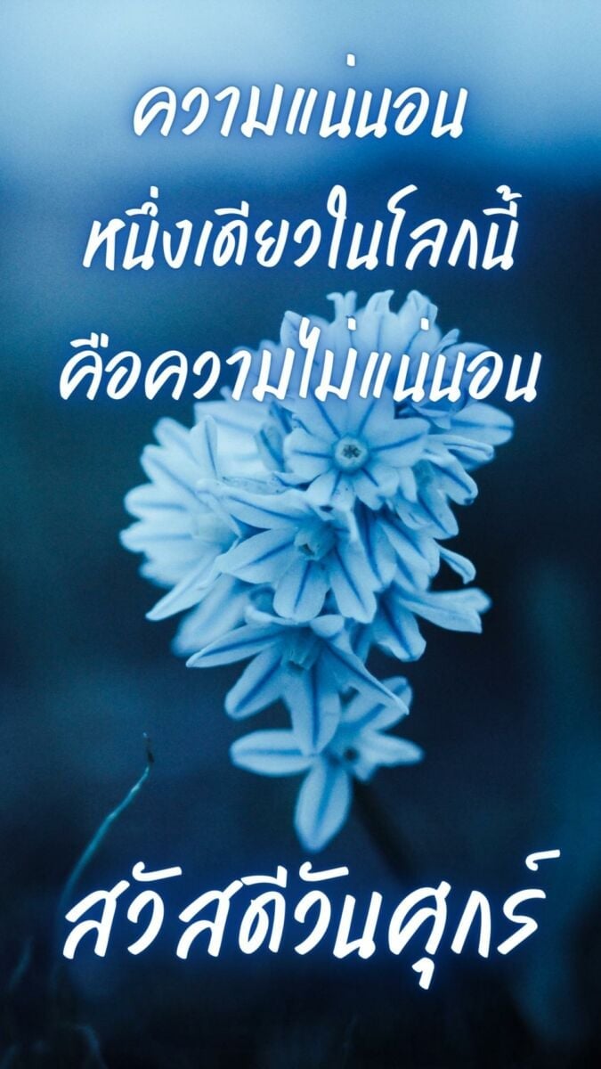 สวัสดีวันศุกร์สุขภาพแข็งแรง