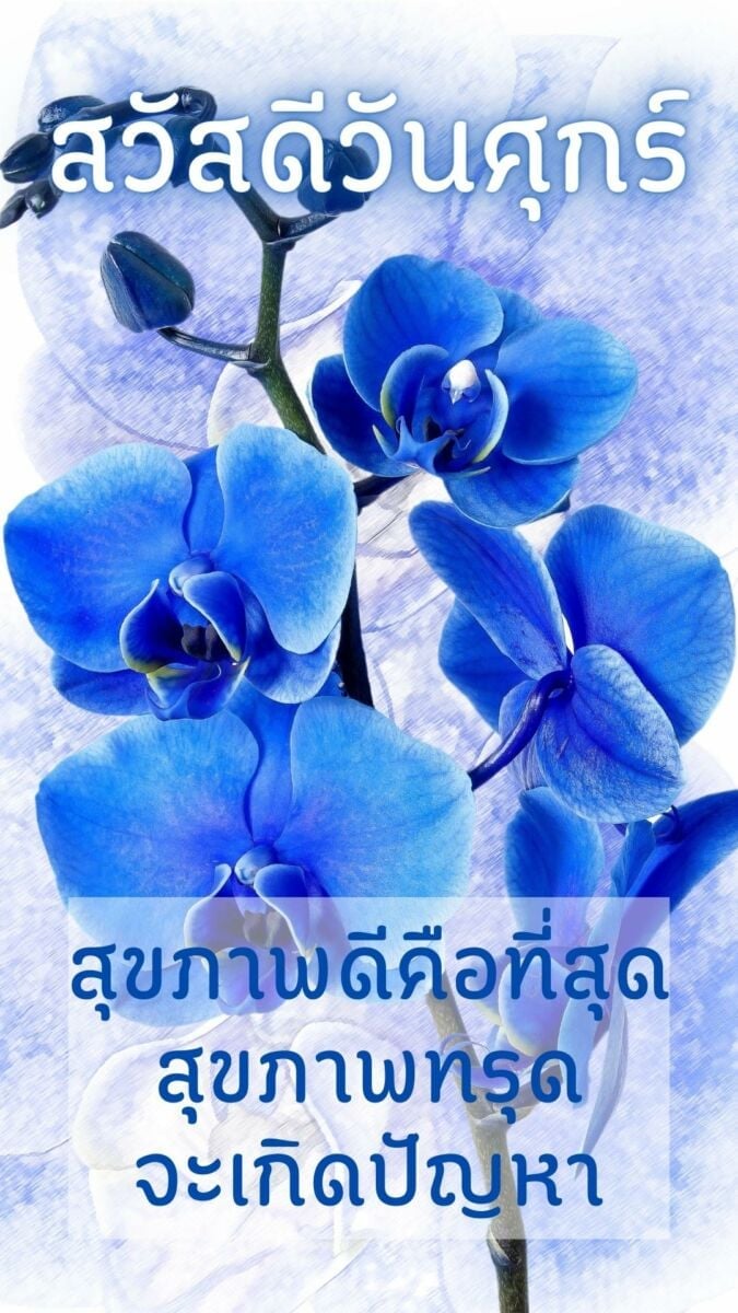 สวัสดีวันศุกร์ ขอให้สุขภาพแข็งแรง
