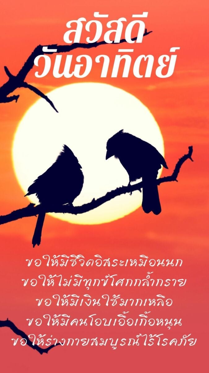 รวมภาพสวัสดีวันอาทิตย์ใหม่ล่าสุด