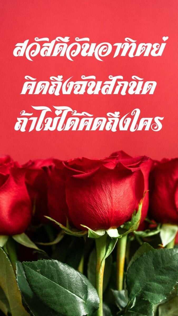 รวมภาพสวัสดีวันอาทิตย์ใหม่ล่าสุด