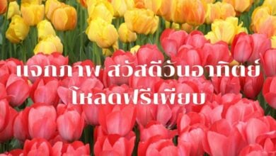 สวัสดีวันอาทิตย์ 2565